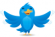 Follow me on Twitter