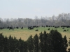image068