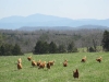 image025