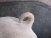 image044