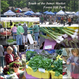farmers market