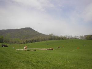 A field full of toys and obstacles