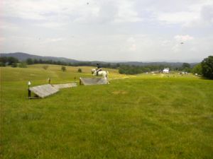On the Cross Country Course