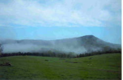 View from Campsite in the morning mist