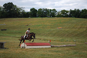 Erica Jones on Toad