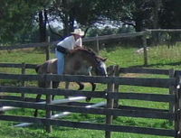 Susan Richardson on Grayson, bareback and bridleless